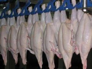 Імпорт м'яса впав на 17%, а експорт птиці виріс вдвічі Імпорт м'яса впав на 17%, а експорт птиці виріс вдвічі