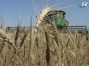 Тема тижня: уряд запровадив квоти на експорт зерна з України Тема тижня: уряд запровадив квоти на експорт зерна з України