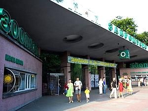 З 15 жовтня у Київського зоопарку буде новий директор З 15 жовтня у Київського зоопарку буде новий директор