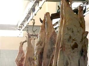 Росіяни обмежили імпорт українського м’яса і молока Росіяни обмежили імпорт українського м’яса і молока