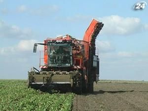 Світові ціни на цукор зросли на 19% до нового рекорду Світові ціни на цукор зросли на 19% до нового рекорду