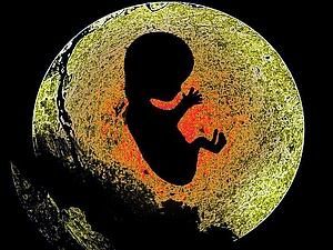 У США народилась дитина, яку зачали 20 років тому У США народилась дитина, яку зачали 20 років тому