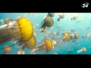 "Океани": підводний світ Землі у небезпеці "Океани": підводний світ Землі у небезпеці