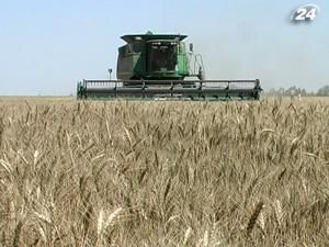 Уряд не буде продавати квоти на експорт зерна на аукціонах Уряд не буде продавати квоти на експорт зерна на аукціонах