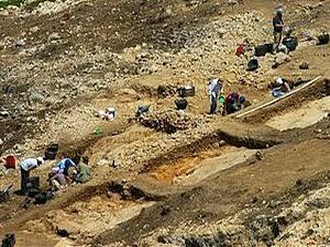 У Аргентині вчені знайшли залишки найдревніших рослин У Аргентині вчені знайшли залишки найдревніших рослин