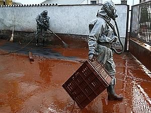 Суд відпустив голову угорського заводу, на якому сталась аварія, з-під варти Суд відпустив голову угорського заводу, на якому сталась аварія, з-під варти