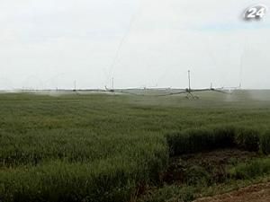 Катар хоче придбати землю для вирощування зернових Катар хоче придбати землю для вирощування зернових