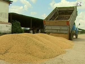 Трейдери встигли продати близько 4 млн. т зерна Трейдери встигли продати близько 4 млн. т зерна