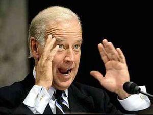 Віце-президент США попросив Януковича по телефону провести справедливі вибори Віце-президент США попросив Януковича по телефону провести справедливі вибори