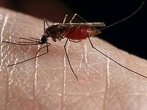 У Афганістані зростає кількість шкірних захворювань У Афганістані зростає кількість шкірних захворювань