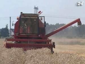 У світі продовжують зростати ціни на зерно У світі продовжують зростати ціни на зерно