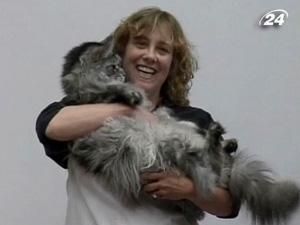 Півтораметрового кота зі штату Невада визнано найдовшим у світі Півтораметрового кота зі штату Невада визнано найдовшим у світі
