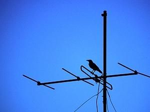 В Україні дозволили ще один російський канал — спортивний В Україні дозволили ще один російський канал — спортивний