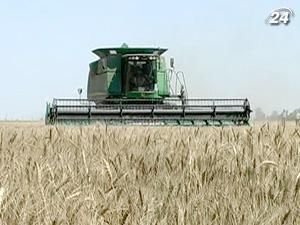 ЄК закликає Україну забезпечити прозорість на ринку зерна ЄК закликає Україну забезпечити прозорість на ринку зерна