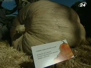 Вага найбільшого у світі гарбуза - 821 кілограм Вага найбільшого у світі гарбуза - 821 кілограм