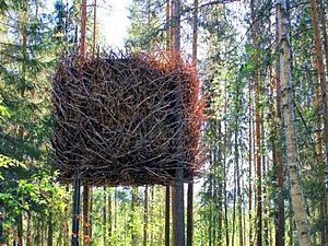 У Швеції відкрили готель із номерами на деревах У Швеції відкрили готель із номерами на деревах