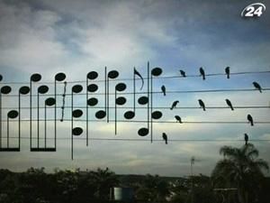 У Нью-Йорку представили 25 найкращих відео з YouTube У Нью-Йорку представили 25 найкращих відео з YouTube