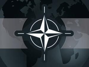 НАТО погодилось, що авіаналіт був, але відмовляється вірити у жертви серед мирного населення НАТО погодилось, що авіаналіт був, але відмовляється вірити у жертви серед мирного населення