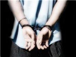 У Рочестері затримали молодого чоловіка, який збирався вбити Буша У Рочестері затримали молодого чоловіка, який збирався вбити Буша