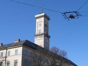 У Львові зняли з реєстрації фальшиву "Батьківщину" У Львові зняли з реєстрації фальшиву "Батьківщину"