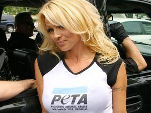 Памела Андерсон прочитала в Оксфорді лекцію про вегетаріанство Памела Андерсон прочитала в Оксфорді лекцію про вегетаріанство