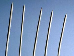 У Феодосії місцевий житель проткнув вилами працівника міліції У Феодосії місцевий житель проткнув вилами працівника міліції