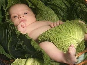 У Львові шестимісячний малюк став членом виборчкому У Львові шестимісячний малюк став членом виборчкому