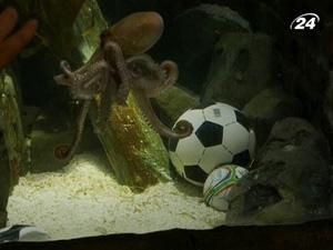 Посмертна слава восьминога Пауля Посмертна слава восьминога Пауля