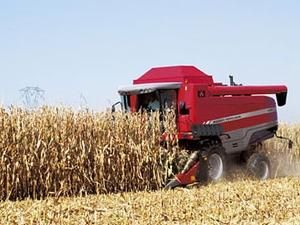 ООН: Україна потрапила у трійку лідерів виробництва продовольства ООН: Україна потрапила у трійку лідерів виробництва продовольства