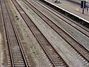 На Чернігівщині електричка смертельно травмувала молодого чоловіка На Чернігівщині електричка смертельно травмувала молодого чоловіка