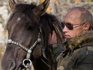 Світ обговорює чергову фотосесію Володимира Путіна Світ обговорює чергову фотосесію Володимира Путіна