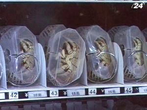 У Китаї з’явилися торгові автомати з живими крабами - 2 листопада 2010 - Телеканал новин 24 У Китаї з’явилися торгові автомати з живими крабами - 2 листопада 2010 - Телеканал новин 24