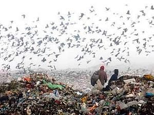 У Скадовську на сміттєзвалищі знайшли задушене немовля У Скадовську на сміттєзвалищі знайшли задушене немовля