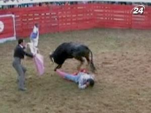 Під час бою бик порвав костюм на матадорові Під час бою бик порвав костюм на матадорові