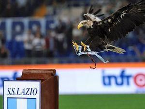 Причини зльоту "орлів" Причини зльоту "орлів"