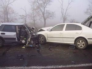 На Херсонщині у тумані зіткнулись два авто: травмовано дев'ятеро чоловік На Херсонщині у тумані зіткнулись два авто: травмовано дев'ятеро чоловік