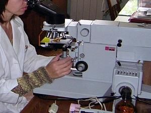 Харків: кількість госпіталізованих курсантів збільшилась Харків: кількість госпіталізованих курсантів збільшилась