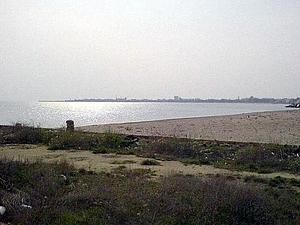 У Криму незаконно виділили більше ста земельних ділянок У Криму незаконно виділили більше ста земельних ділянок