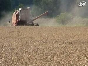 Україна почала випускати зерно із портів Україна почала випускати зерно із портів