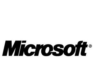 Відомтсво Азарова зобов’язалось за півроку заплатити Microsoft 100 мільйонів доларів
