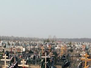 На Житомирщині затримали трьох ліцеїстів, які грабували кладовища На Житомирщині затримали трьох ліцеїстів, які грабували кладовища