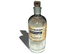 12 листопада. День в історії - 12 листопада 2010 - Телеканал новин 24 12 листопада. День в історії - 12 листопада 2010 - Телеканал новин 24