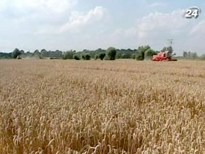 Україна розподілила 2,1 млн. т. квоти на експорт зерна Україна розподілила 2,1 млн. т. квоти на експорт зерна