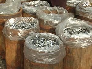 Україна продовжить постачання риби до Митного союзу Україна продовжить постачання риби до Митного союзу