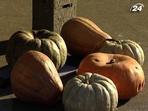 Новому меру Харкова подарували гарбузи Новому меру Харкова подарували гарбузи