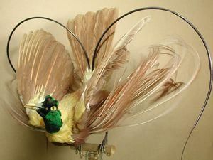 У Великобританії заарештували викрадача пташиних опудал У Великобританії заарештували викрадача пташиних опудал