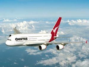 Птах і блискавка змусили приземлитися літаки Qantas Птах і блискавка змусили приземлитися літаки Qantas