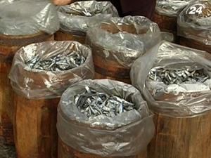 Рибна галузь в Україні в повному занепаді Рибна галузь в Україні в повному занепаді