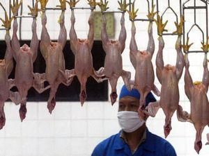 У Гонконгу зафіксували перший випадок зараження людини "пташиним грипом" вперше за 7 років У Гонконгу зафіксували перший випадок зараження людини "пташиним грипом" вперше за 7 років