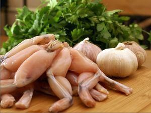 Саркозі домігся, щоб французьку кухню внесли до спадщини ЮНЕСКО Саркозі домігся, щоб французьку кухню внесли до спадщини ЮНЕСКО